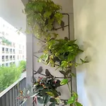 Apartamento Em Sao Paulo